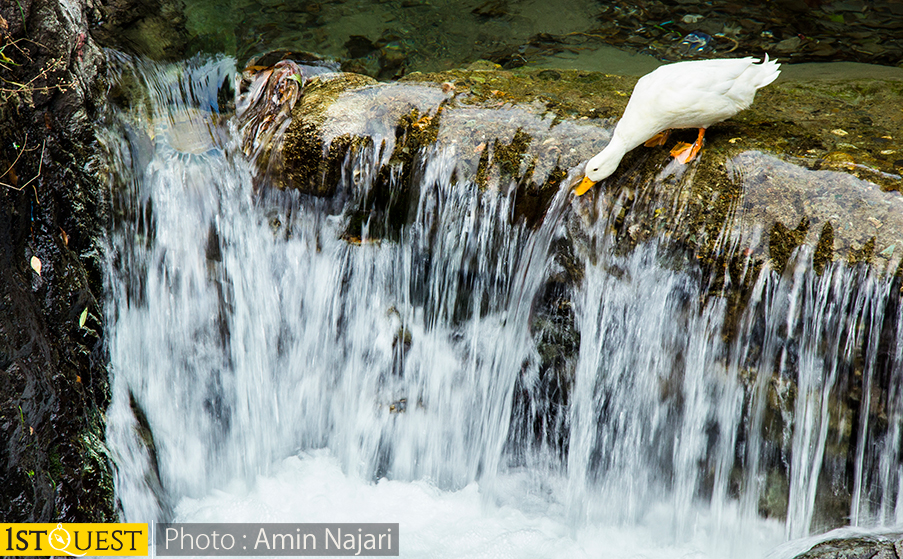 Darband - Tehran - Iran