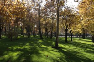 Mellat park Tehran in Fall