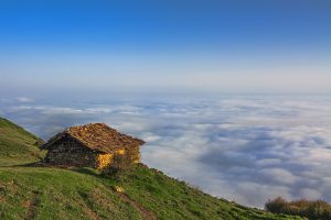 Jangel-e Abr (Cloud Forest) in Iran where you top the clouds