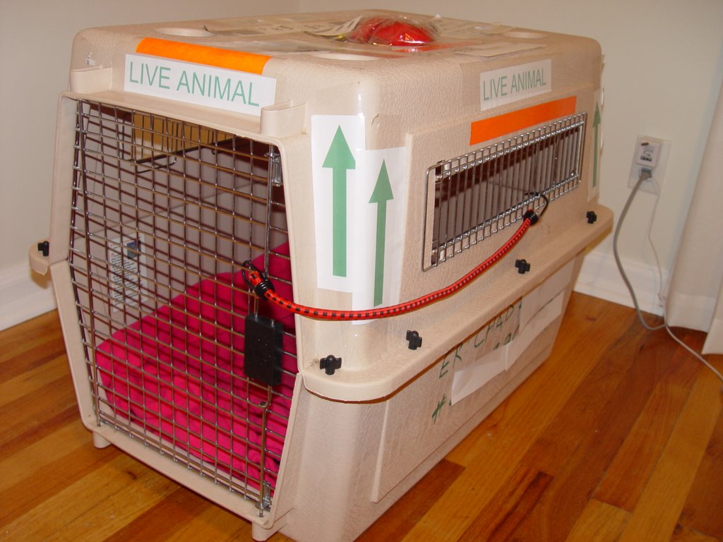 Animals cage for traveling by plane