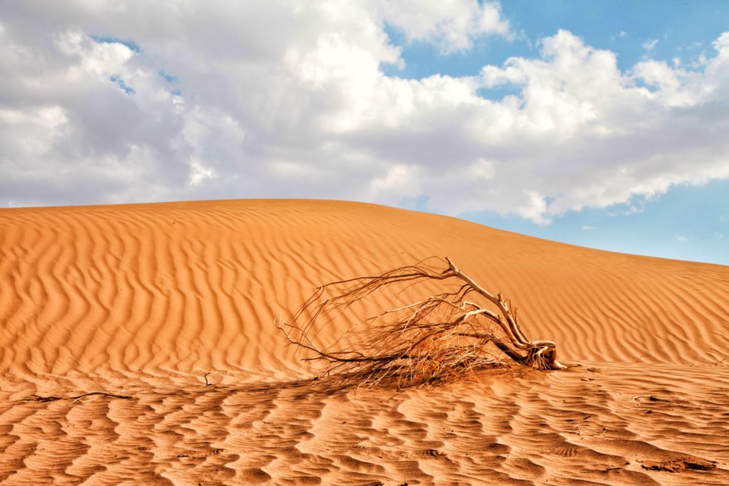 Iran Desert