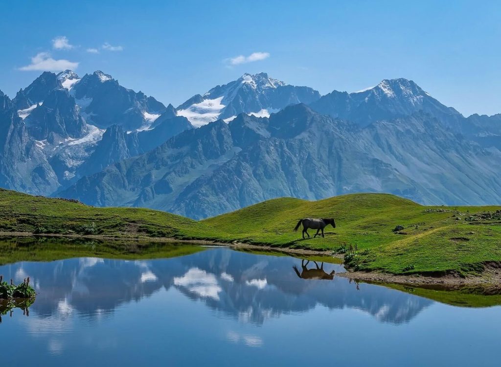 a horse wandering around Korludi lakes