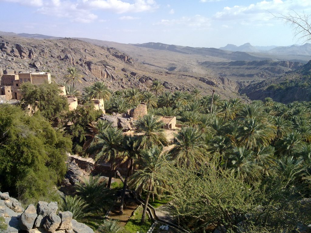 View of Palm trees in Misfat Al Abriyen village