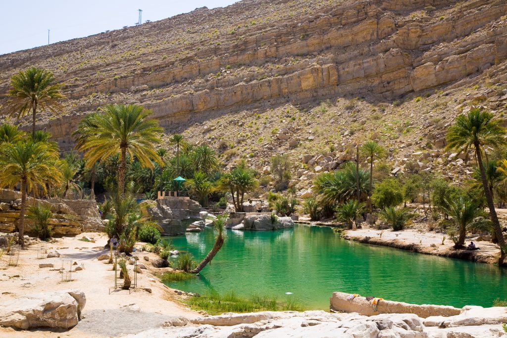 Palm trees and a pool of water in Wadi Bani Khalid, Oman