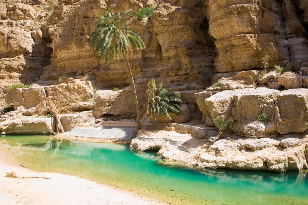 Palm trees and a pool of water in Wadi Shab, Oman