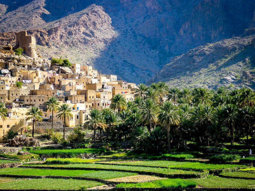 Palm trees and ruins of old forts, Wadi Bani Awf