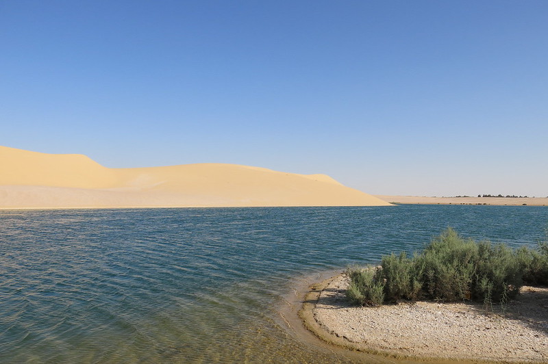 View of lake and desert in Faiyum oasis, Egypt
