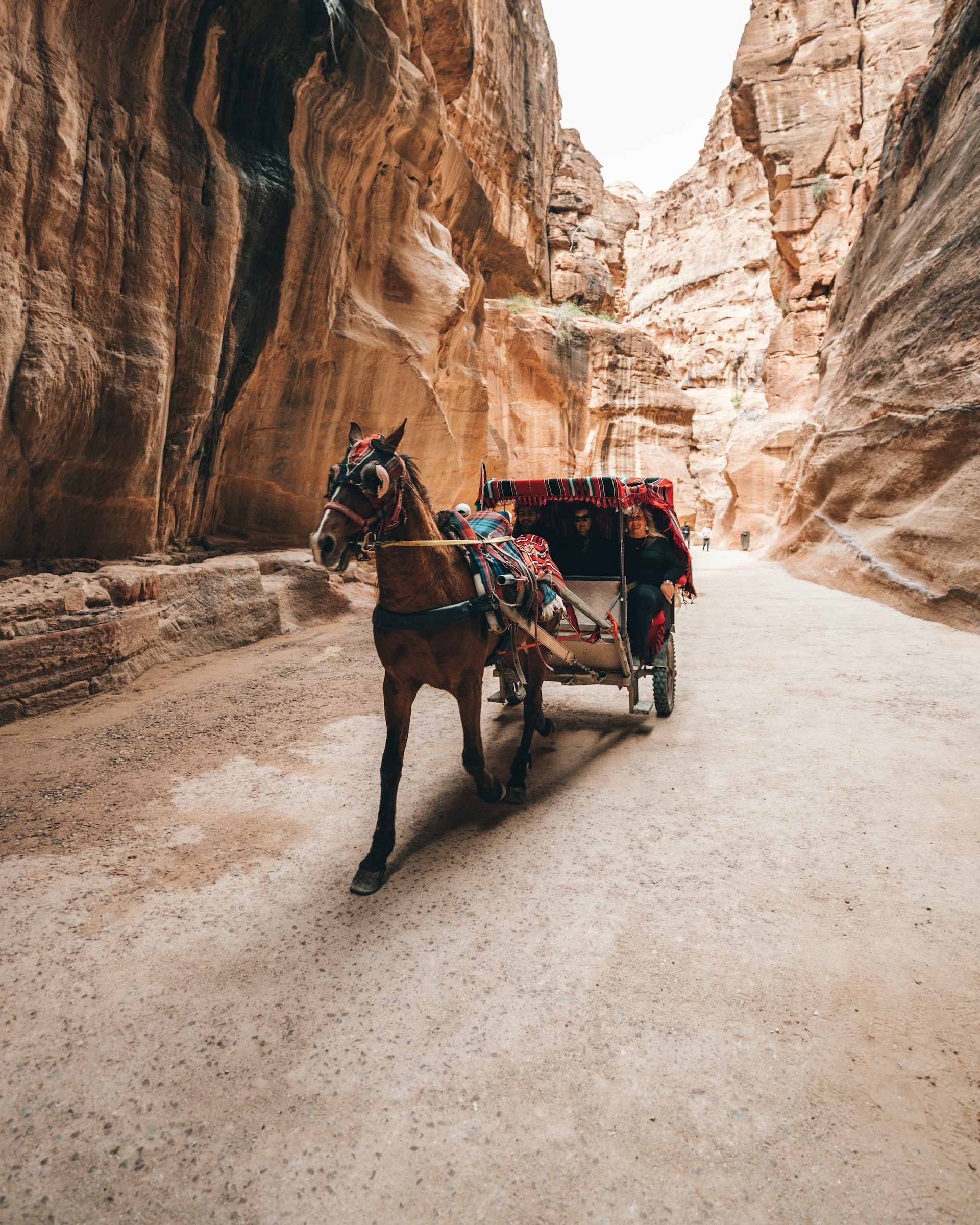 Wander in Ancient Jordan